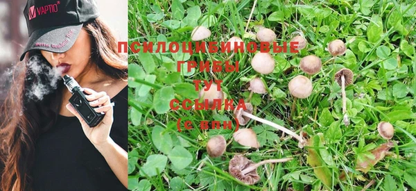 ПСИЛОЦИБИНОВЫЕ ГРИБЫ Абдулино